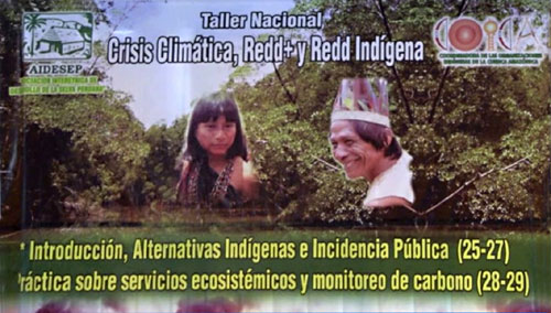 Support Indigenous REDD