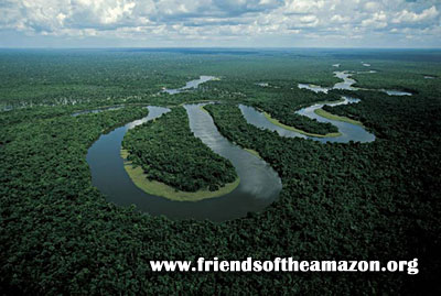 Meandering Amazon River